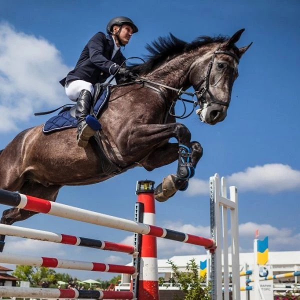 Horse hair analysis